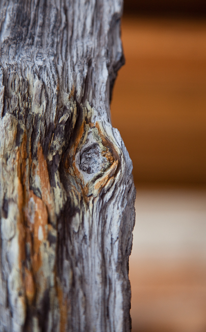 detail - 8' tall petrified specimen on welded iron stand.  Montana