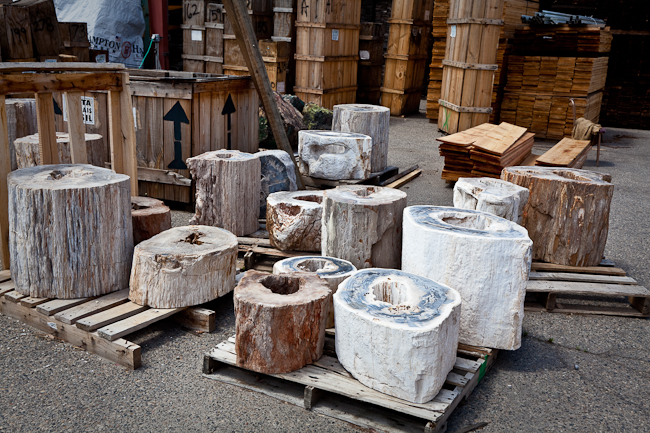 Petrified wood pedestals with natural hole.  Indonesia