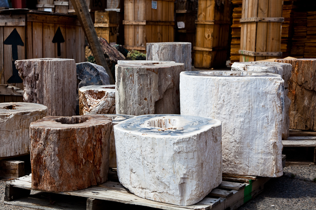 Petrified wood pedestals with natural hole.  Indonesia