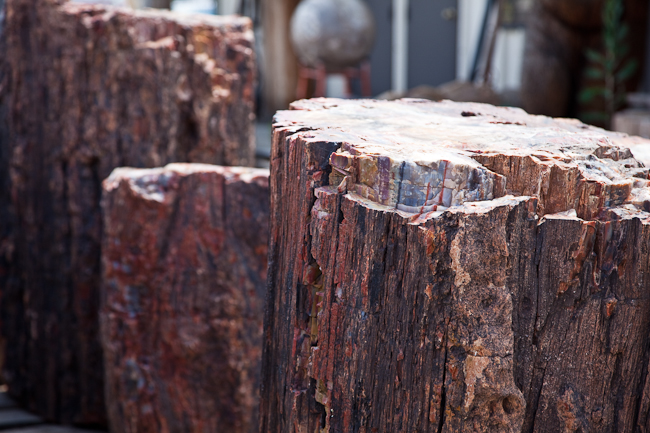 Large petrified logs.  Arizona
