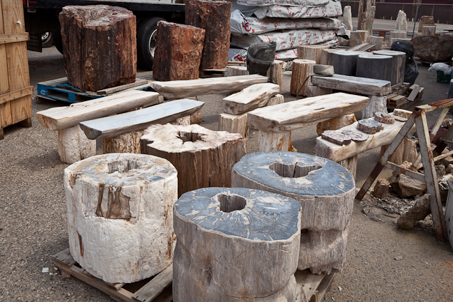 Assorted petrified pedestals and petrified benches.  Indonesia